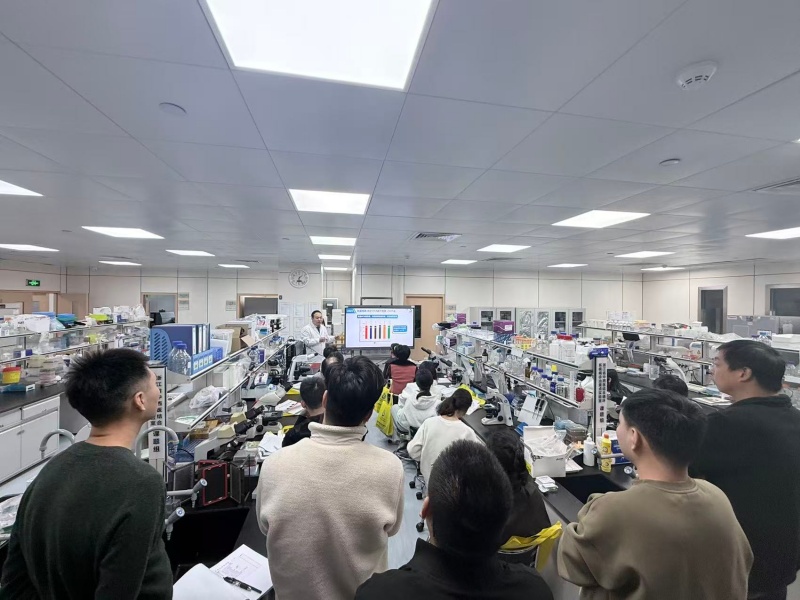 开云体云app官网入口