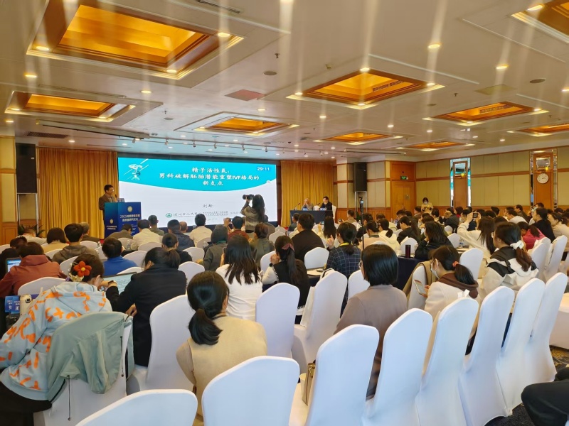 开云体云app官网入口