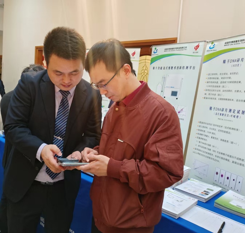 开云体云app官网入口