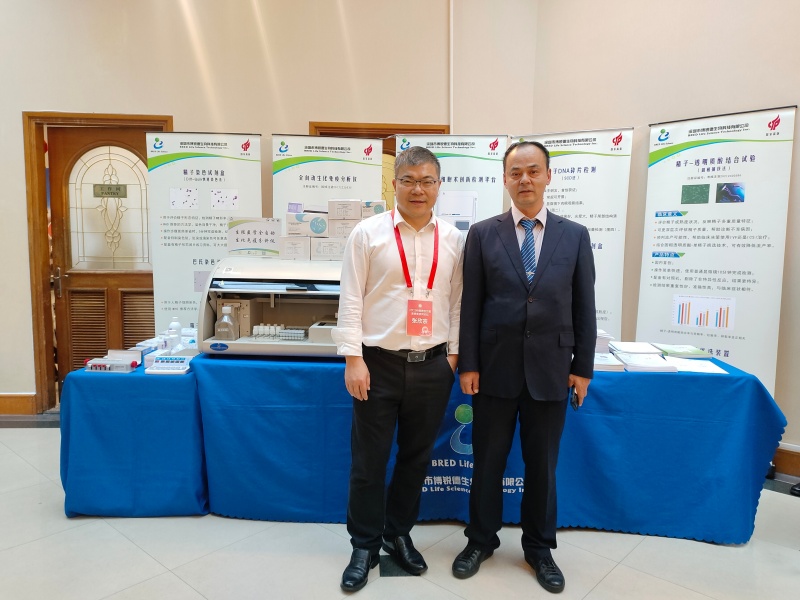 开云体云app官网入口