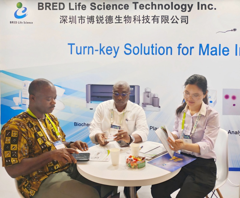 开云体云app官网入口