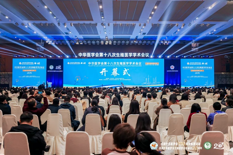 开云体云app官网入口