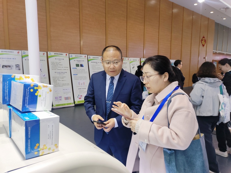 开云体云app官网入口