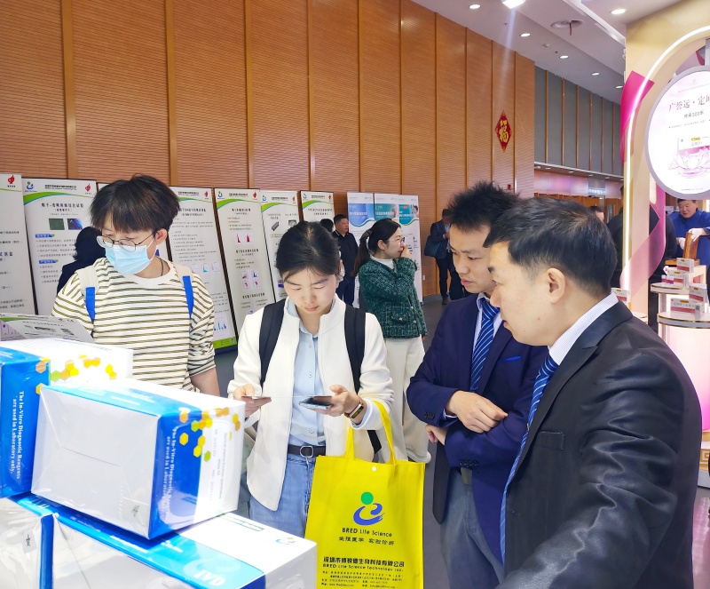 开云体云app官网入口