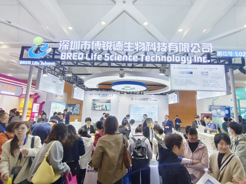 开云体云app官网入口