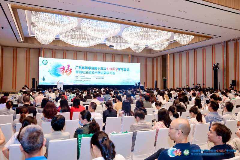 开云体云app官网入口