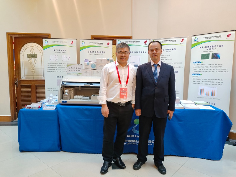 开云体云app官网入口