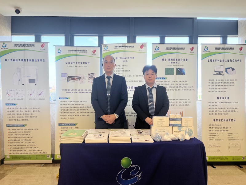 开云体云app官网入口