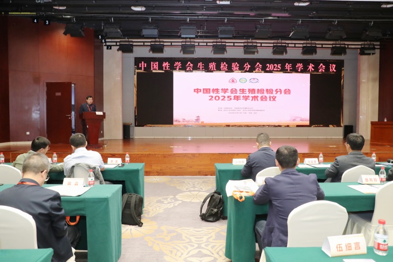 开云体云app官网入口