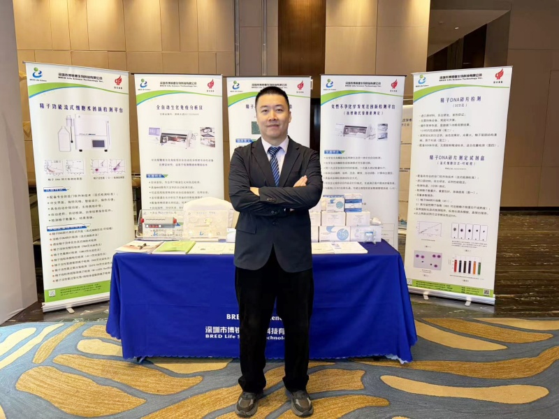 开云体云app官网入口