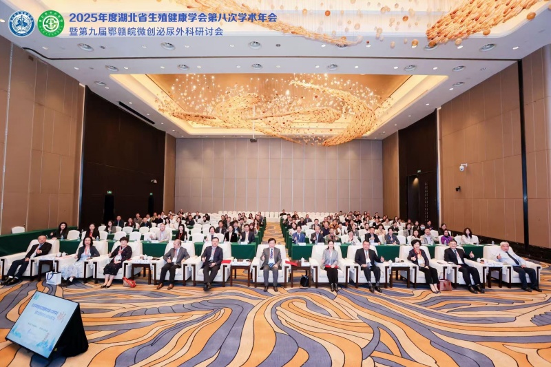 开云体云app官网入口