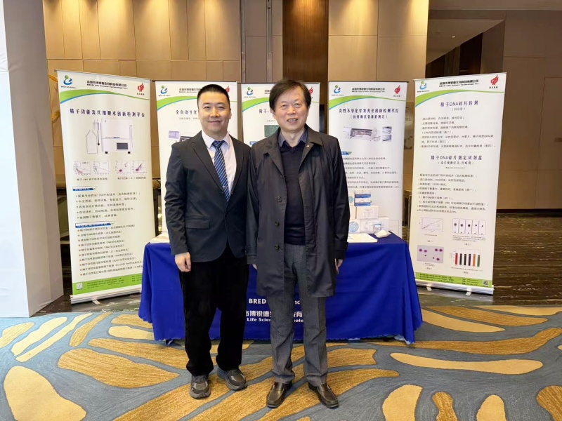 开云体云app官网入口