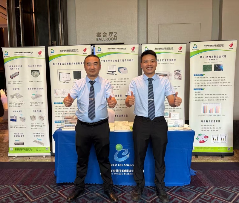 开云体云app官网入口