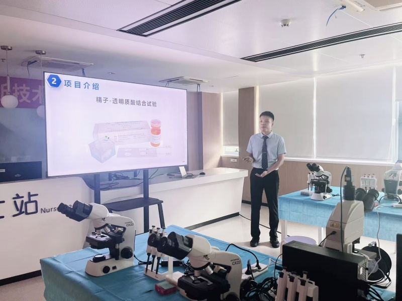 开云体云app官网入口