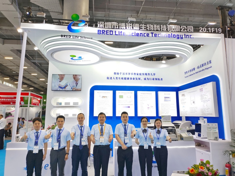 开云体云app官网入口