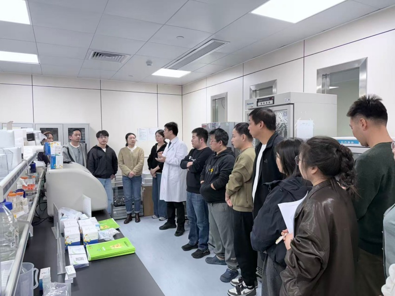 开云体云app官网入口