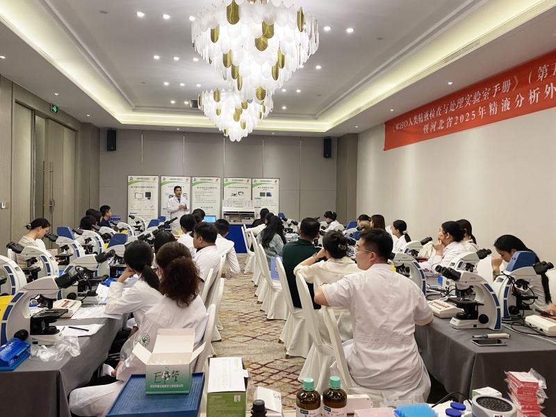 开云体云app官网入口