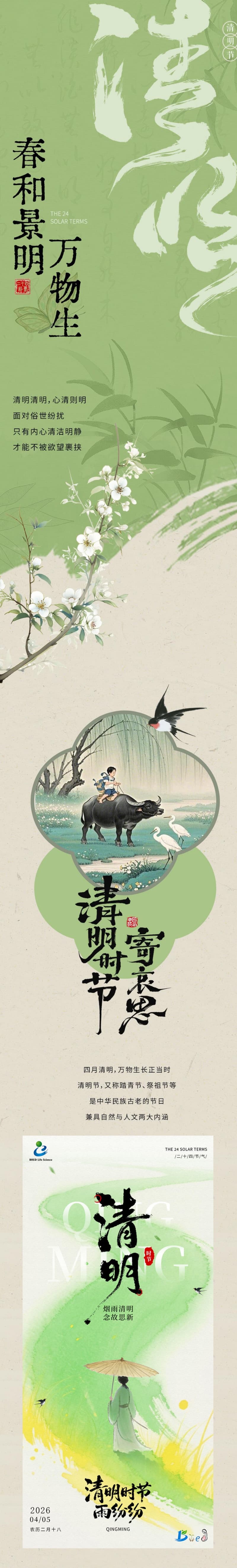 开云体云app官网入口