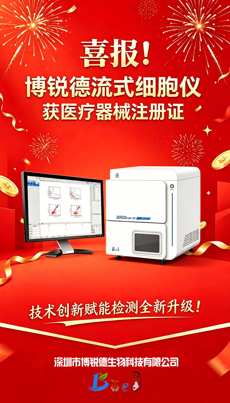 开云体云app官网入口